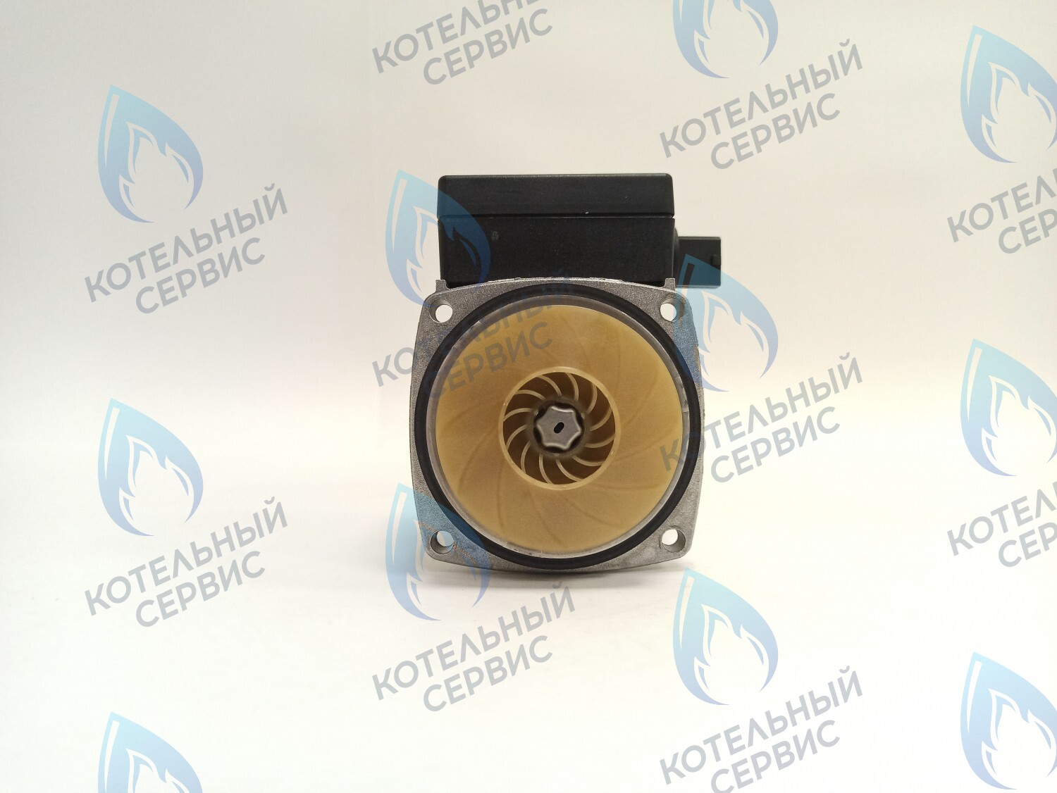 PH-G30CCW50-GR75-FL Двигатель насоса GRUNDFOS 15-50 75w с коннектором в Москве