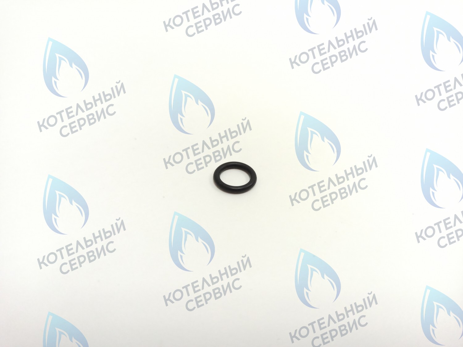 BI1351 113 Прокладка O-Ring 1,9 Х 12,7 (BI1351 113) ELECTROLUX в Москве