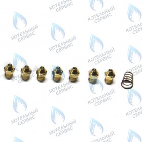 Инжекторы для сжиженного газа комплект D. 0,74 BAXI