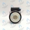 PH-W30CW50-GW95BX Двигатель насоса PUMP WA15/5 (без улитки) (по часовой стрелке) 15/5 (замена WILO 15/5 BAXI, NEVALUX, THERMONA, PROTHERM СКАТ K11) в Москве