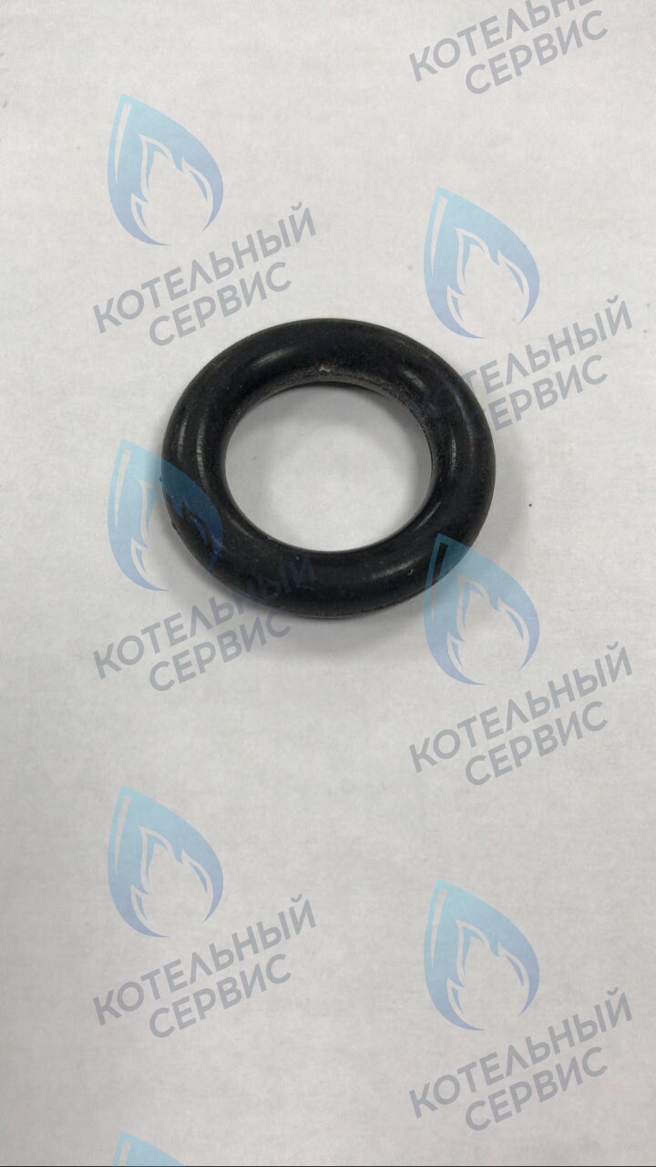39864460 Прокладка O-ring циркуляционного насоса FERROLI в Москве