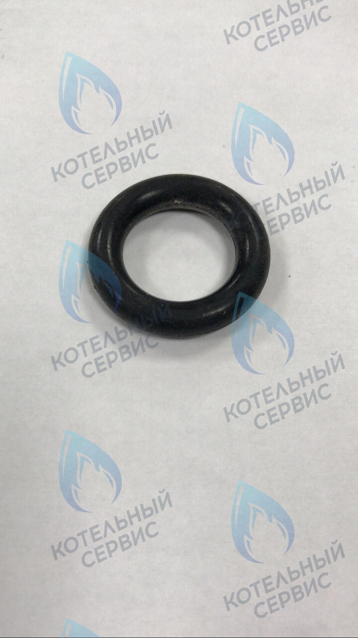 39864460 Прокладка O-ring циркуляционного насоса FERROLI (RU) в Москве