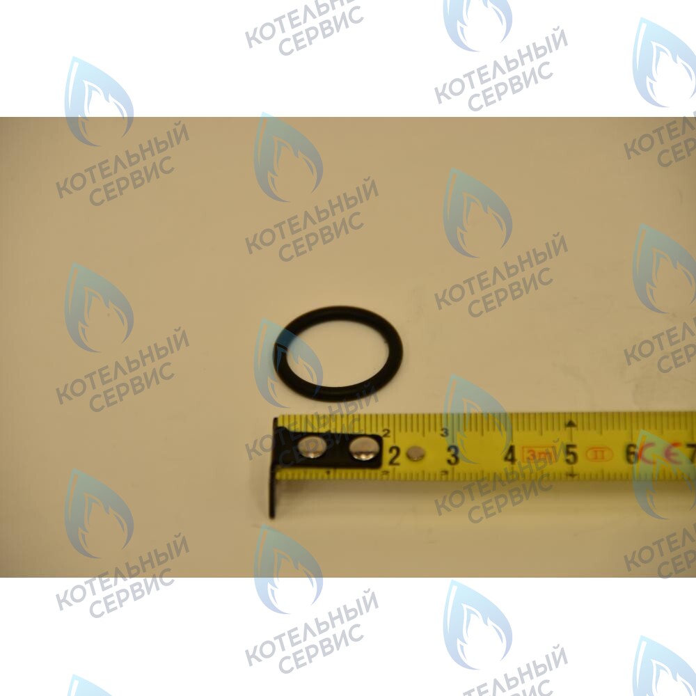 710045300 Уплотнение кольцевое d.17,96X2,62 BAXI в Москве