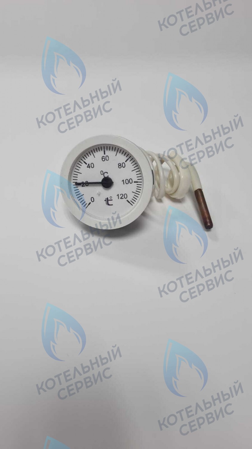 ST002-02 Термометр капиллярный круглый белое кольцо d 51,5 мм, длина капилляра 550 мм, 0-120С в Москве