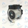 P0000000991 Циркулирующий водяной (циркуляционный) насос OASIS GPD 15-5S Z027 (Р0000000991) в Москве