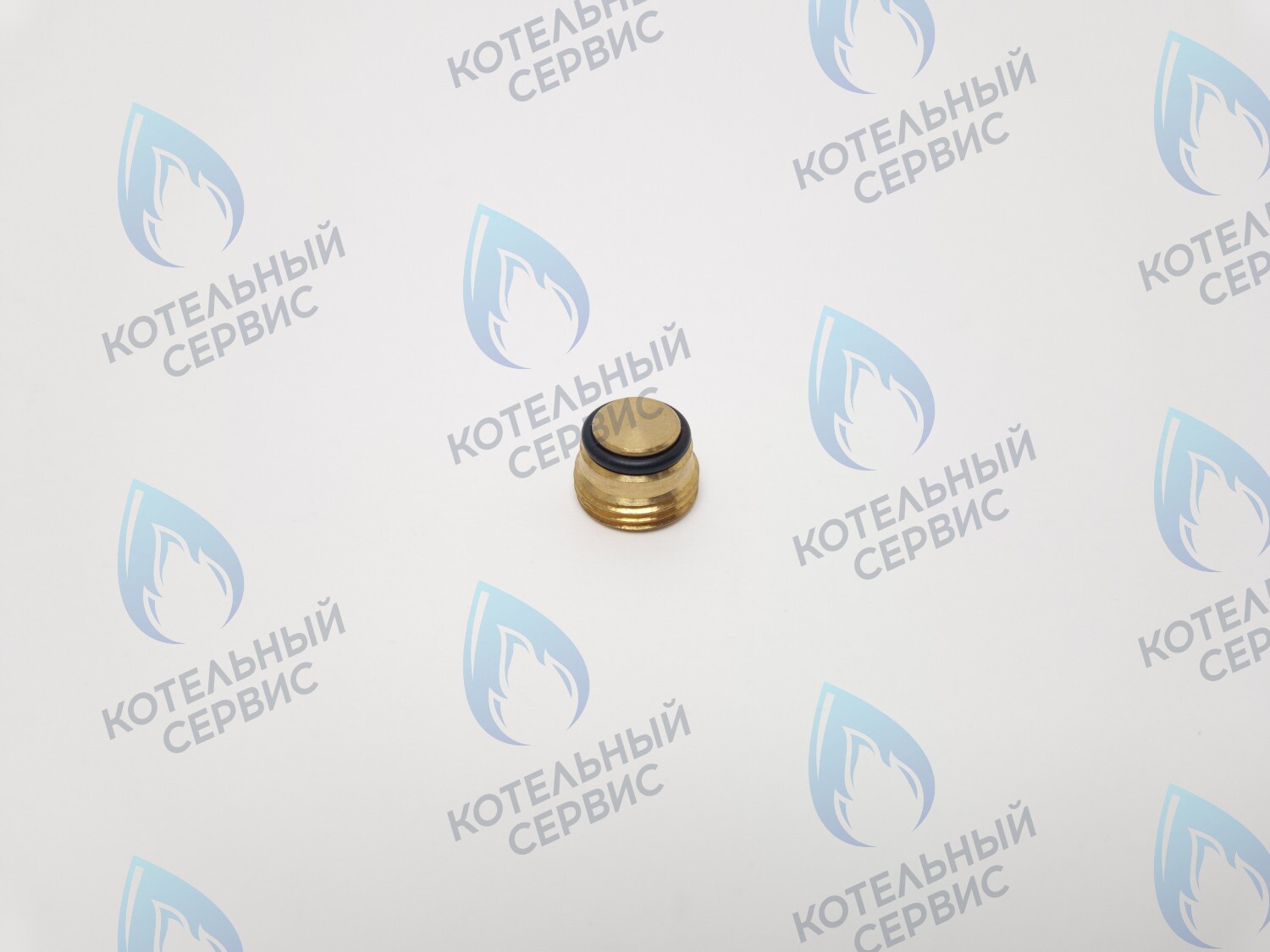 GVP020 Заглушка на клапан Sit 630 (0.972.061) в Москве