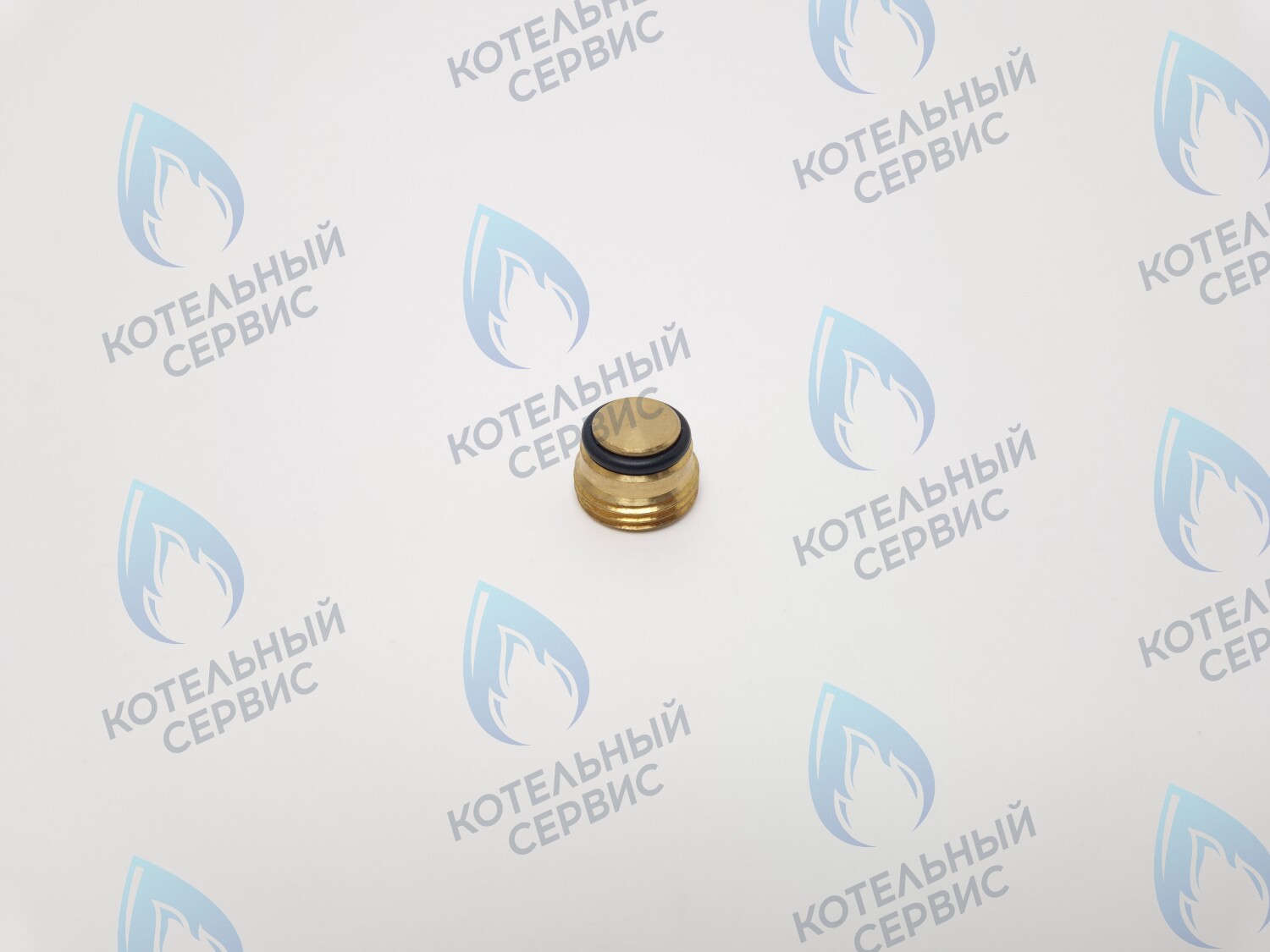 GVP020 Заглушка на клапан Sit 630 (0.972.061) в Москве