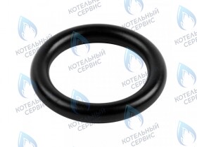 Кольцо уплотнительное насоса DAESUNG (3080016)