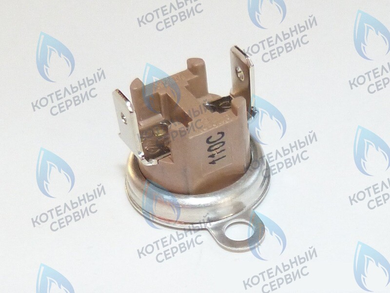 87172061620 Ограничитель нагрева STB 110°C U02X/U04X/U05X/ZSA/ZWA/ZWE BUDERUS в Москве