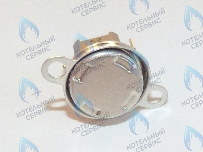 87172061620 Ограничитель нагрева STB 110°C U02X/U04X/U05X/ZSA/ZWA/ZWE BUDERUS в Москве