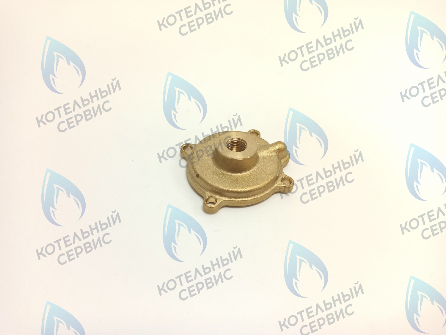 50101027 Крышка датчика протока (50101027) ELECTROLUX в Москве