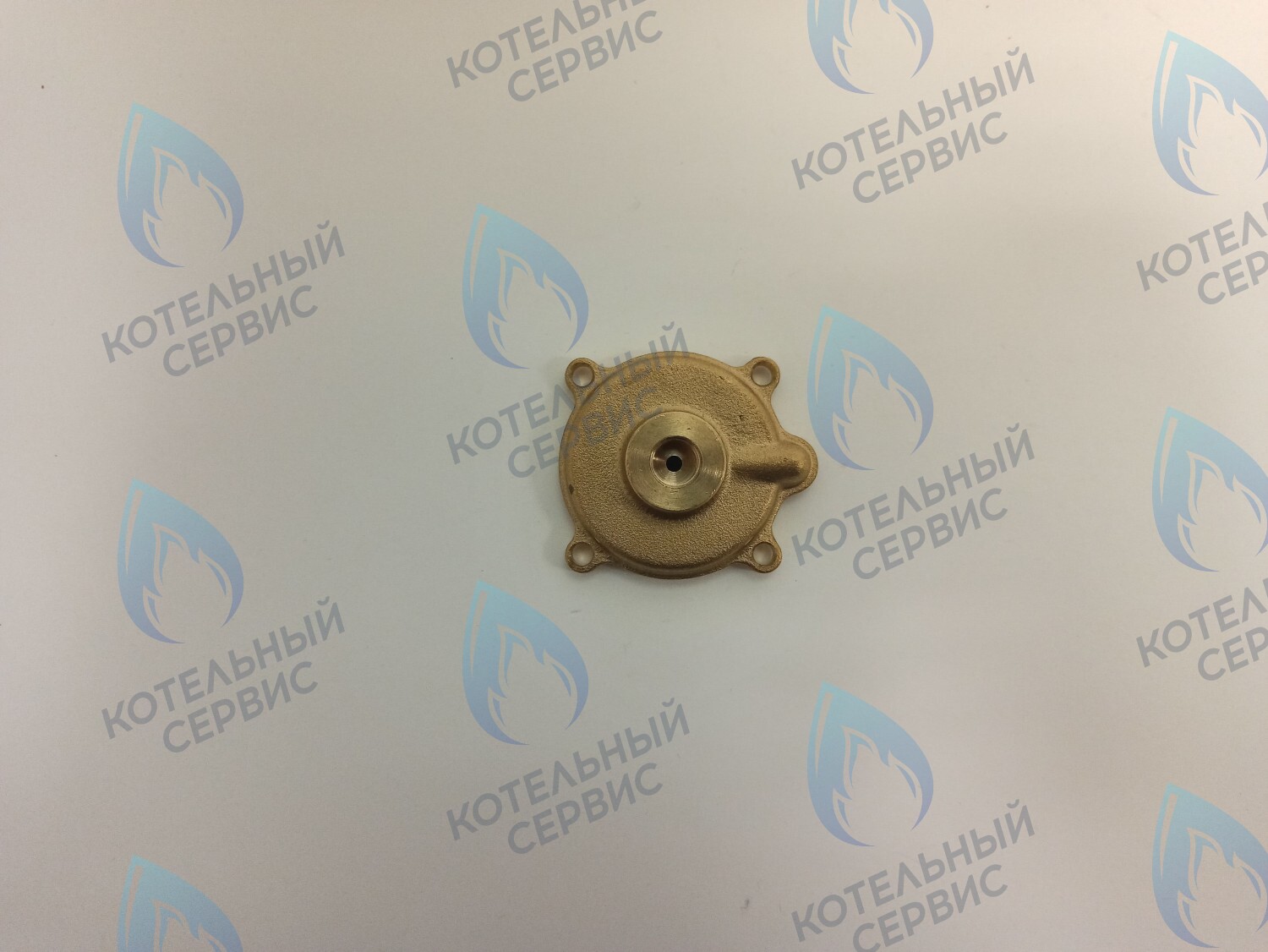 50101027 Крышка датчика протока (50101027) ELECTROLUX в Москве