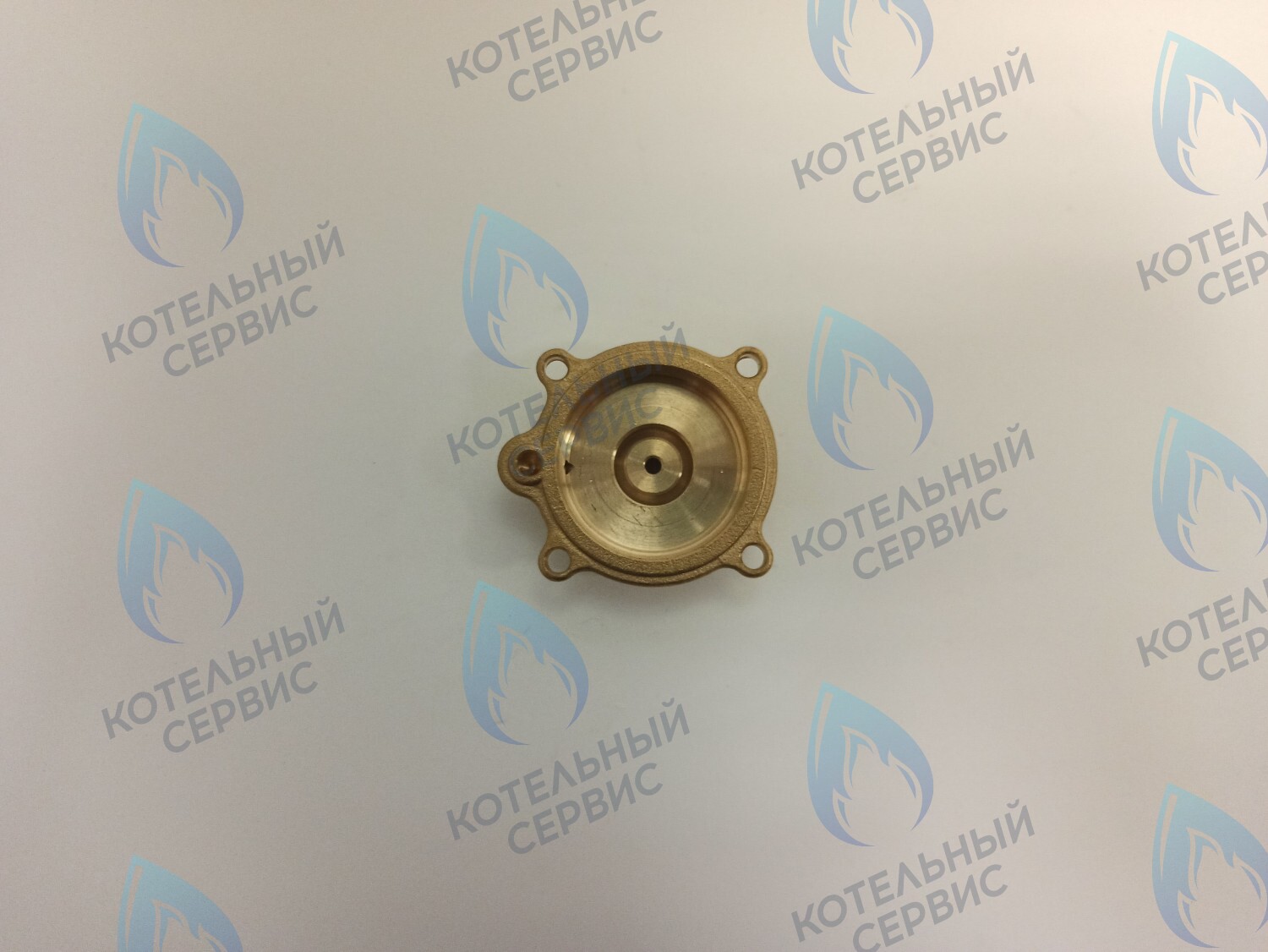 50101027 Крышка датчика протока (50101027) ELECTROLUX в Москве