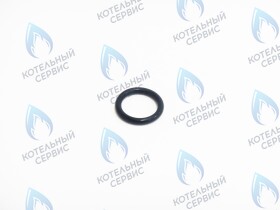 Прокладка основного теплообменника,уплотнение кольцевое,О-КОЛЬЦО  (0020020741 protherm v.19)