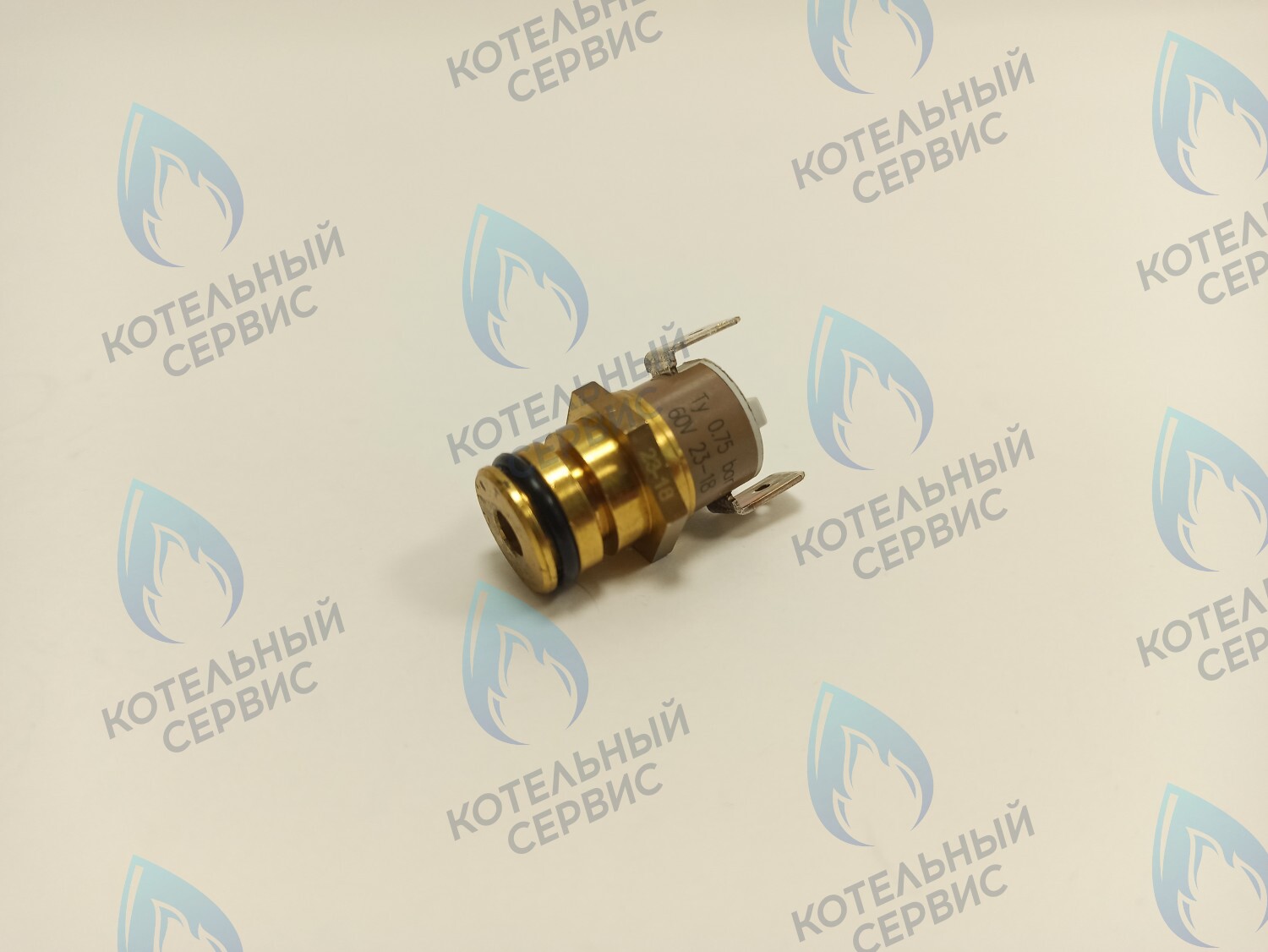 6PRESSAC07 Датчик давления воды FONDITAL в Москве