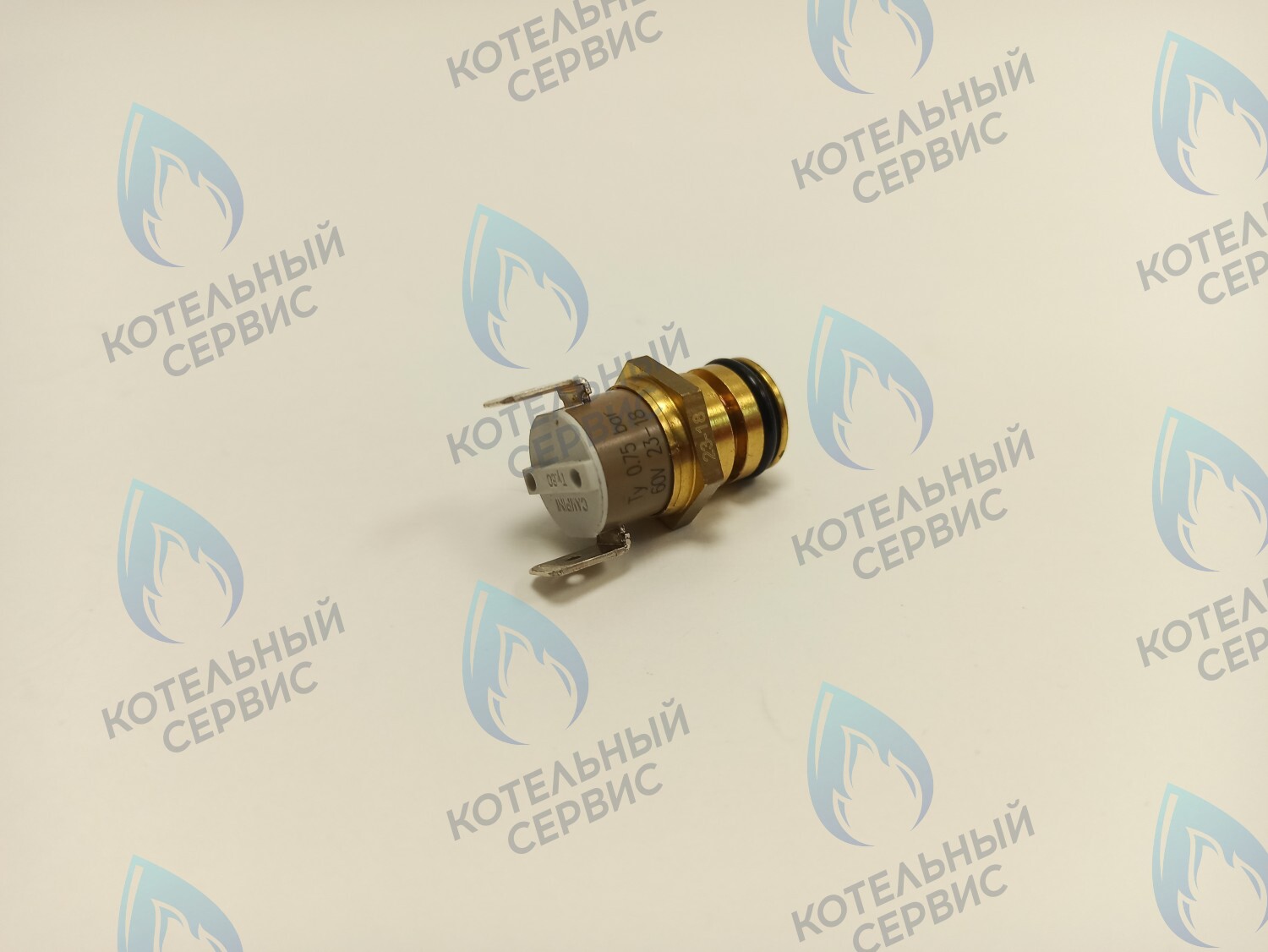 6PRESSAC07 Датчик давления воды FONDITAL в Москве