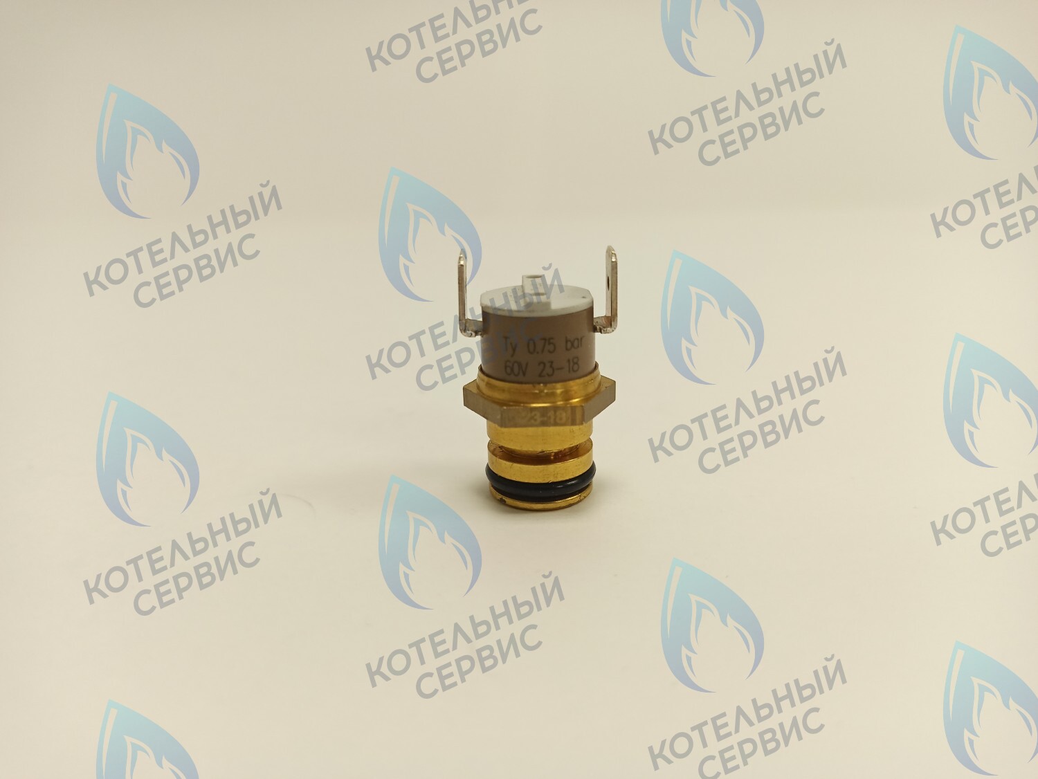 6PRESSAC07 Датчик давления воды FONDITAL в Москве