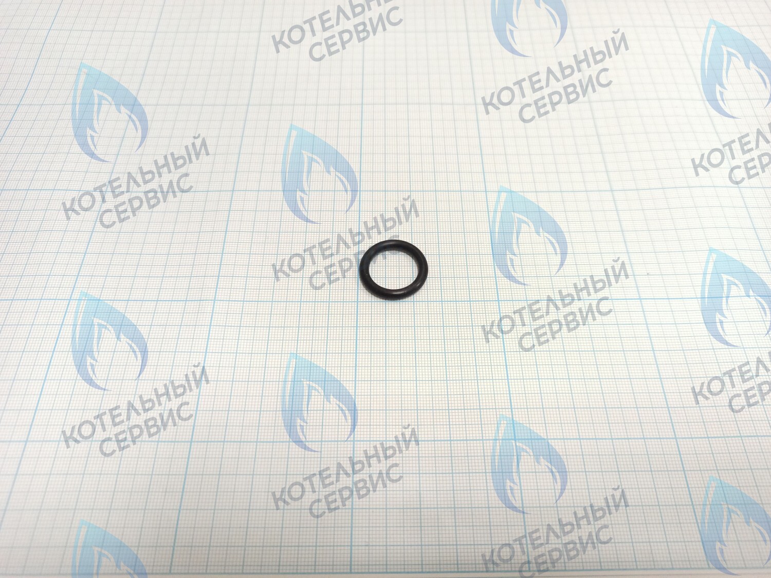 TY02020049 Прокладка O-Ring 25x18x3.55 (TY02020049) ROYAL THERMO в Москве
