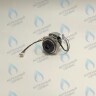 PH-W21CW50-DA84-4PIN Двигатель насоса DUCA APW 15-5.2A (2 скорости) аналог Wilo Ariston (65104319, 60000591) в Москве
