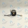 PH-W21CW50-DA84-4PIN Двигатель насоса DUCA APW 15-5.2A (2 скорости) аналог Wilo Ariston (65104319, 60000591) в Москве