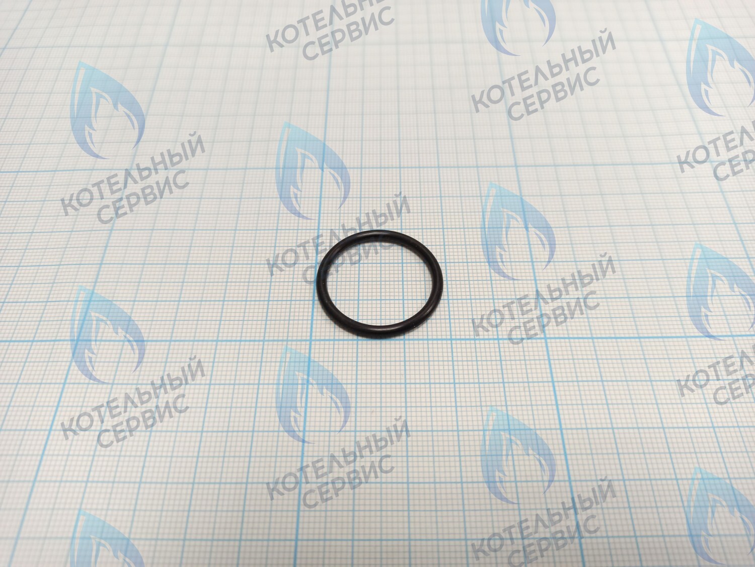T10123-04 Прокладка уплотнительная резиновая 24x2,5 EPDM ROC в Москве