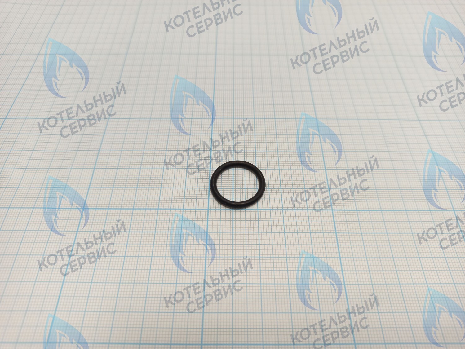 FC005B Кольцо уплотнительное (теплообменник первичный) FEDERICA BUGATTI Light, Varme 12-24кВт в Москве