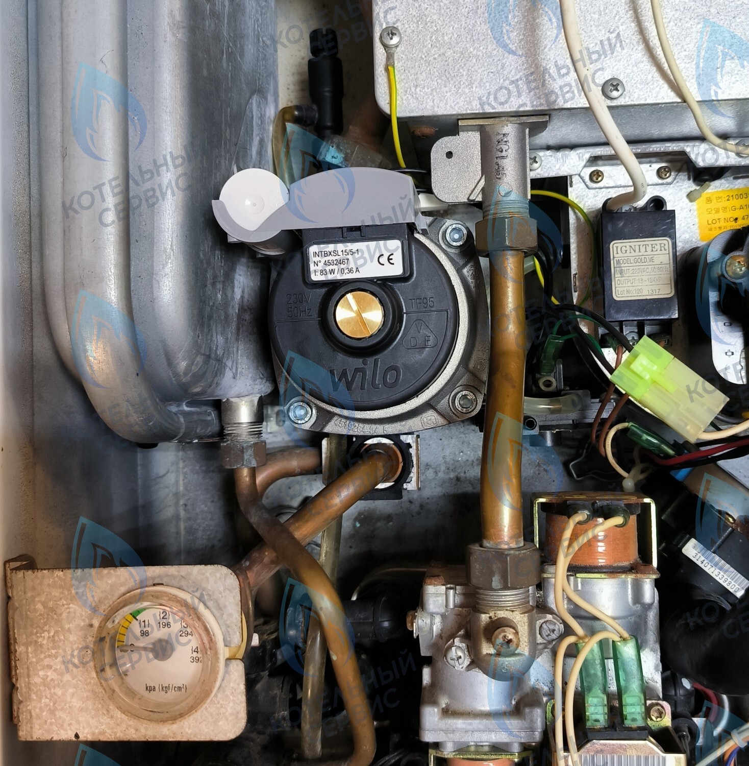 PMDS1AW50-WA82DS-Комп Насос циркуляционный 5м для MASTER GAS SEOUL 11-24 (2050118, 2050130), DAESUNG A16-24 (52050118, 52050130), ARDERIA 2.13-20, CELTIC-DS 3.13-3.20 (2050118, 2050130) в Москве