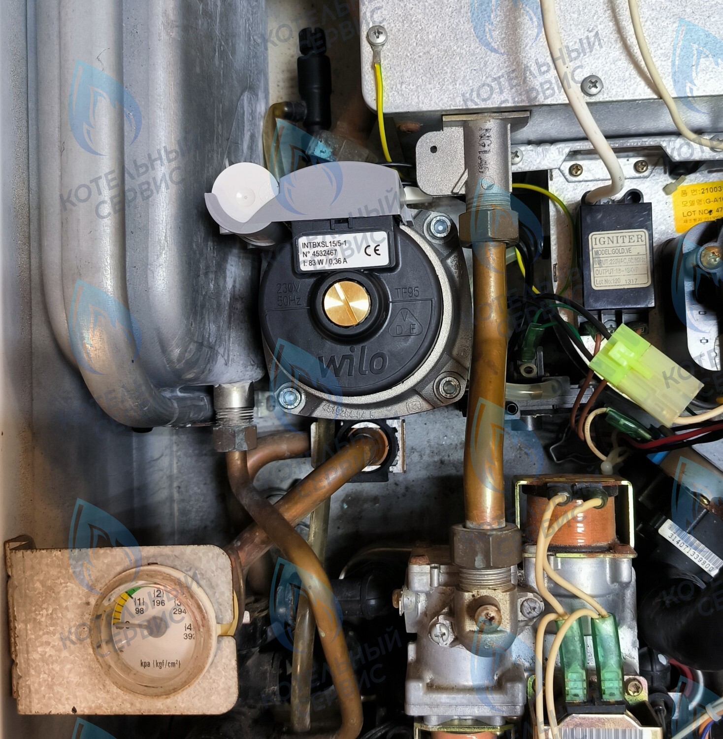 PMDS1AW50-WA82DS-Комп Насос циркуляционный 5м для MASTER GAS SEOUL 11-24 (2050118, 2050130), DAESUNG A16-24 (52050118, 52050130), ARDERIA 2.13-20, CELTIC-DS 3.13-3.20 (2050118, 2050130) в Москве