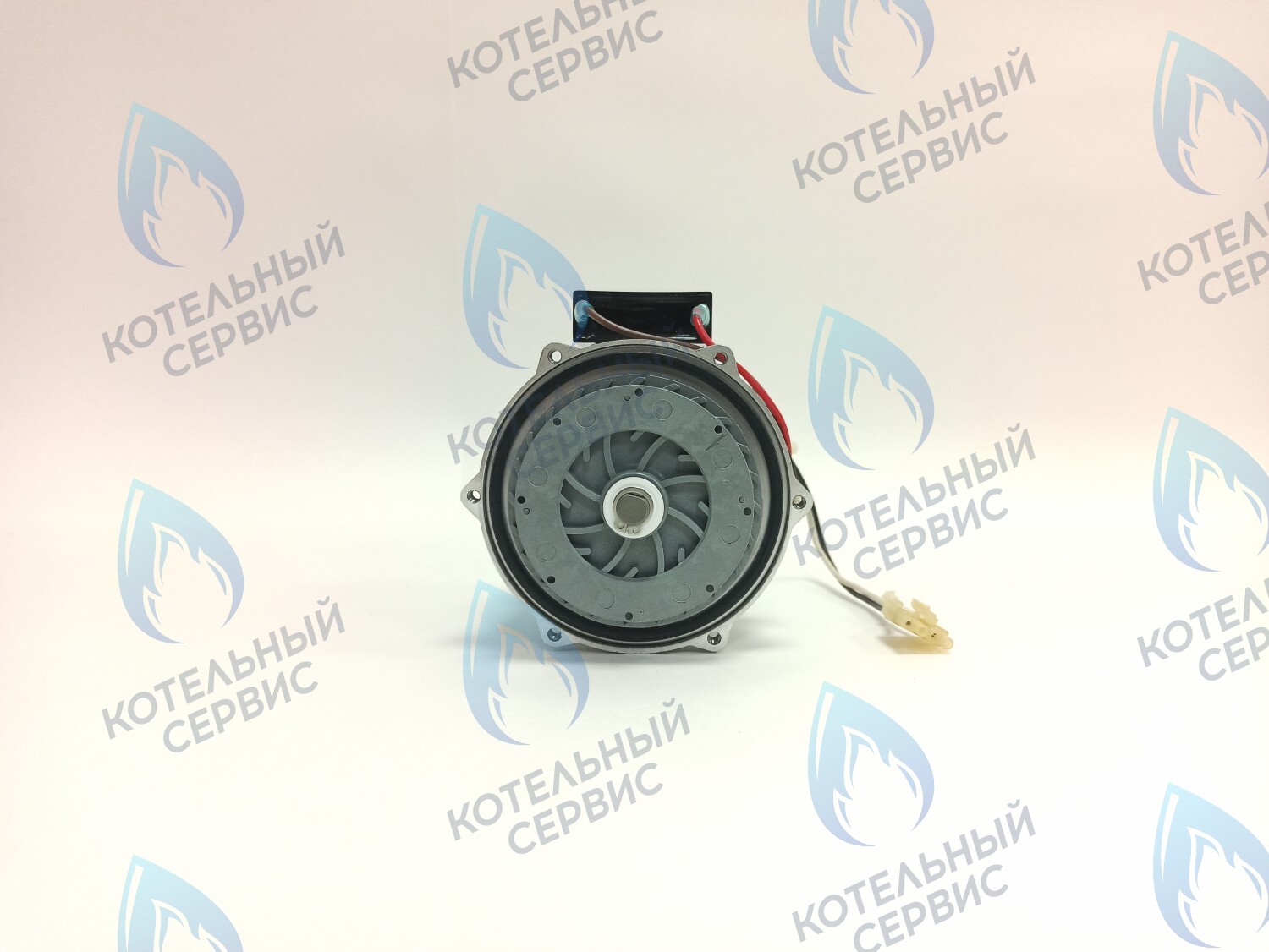 PH-S46CW73-CS77 Двигатель насоса (без улитки, с прокладкой) 77w GRUNDFOS CS-0108DSB ARDERIA 2.13-20, CELTIC-DS 3.13-3.20, MASTER GAS SEOUL 11-21, DAESUNG A16-24 в Москве