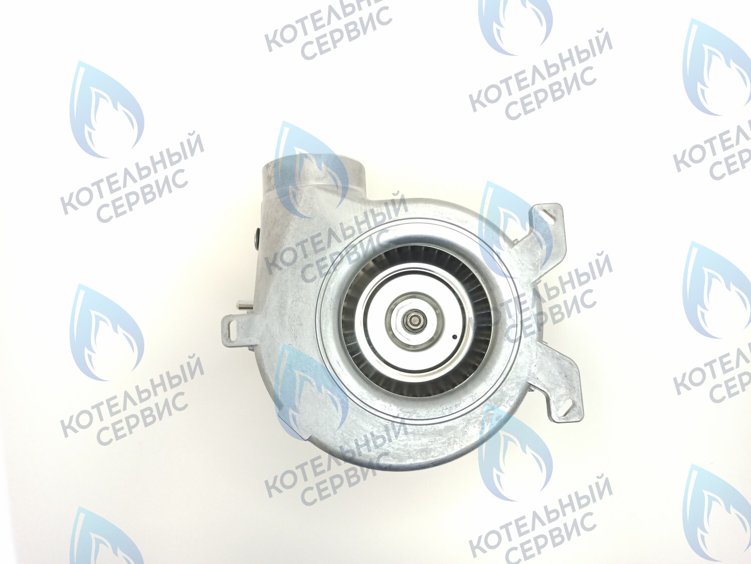 AF001-39W-P-F Вентилятор дымоудаления FIME IMMERGAS MINI 24 - 39W GR03510 (1.021174), ALPHATHERM (6VENTILA13, 6VENTILA07), IMMERGAS (1.025794, 1.044632), FONDITAL (6VENTILA13, 6VENTILA19), BAXI (63111300821P) в Москве