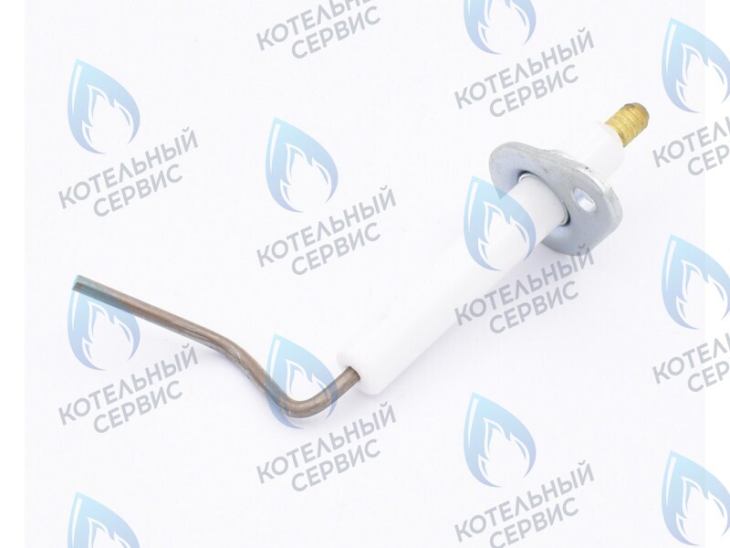0020097415 Электрод ионизации Protherm Леопард 24 MTM-CC/1 (H-RU) в Москве