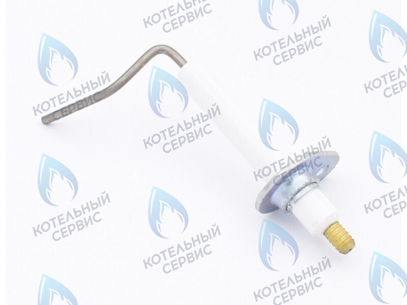 0020097415 Электрод ионизации Protherm Леопард 24 MTM-CC/1 (H-RU) в Москве