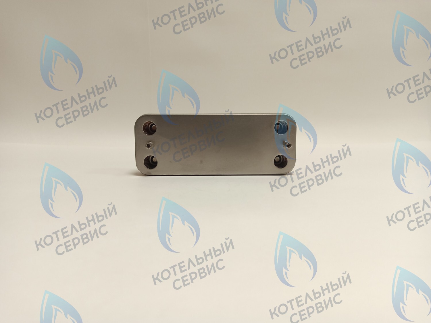 ES190P-160-12F-CH Теплообменник ГВС вторичный 12 пластин Thermex Xantus (19035015), Baltgaz Turbo (28891) в Москве