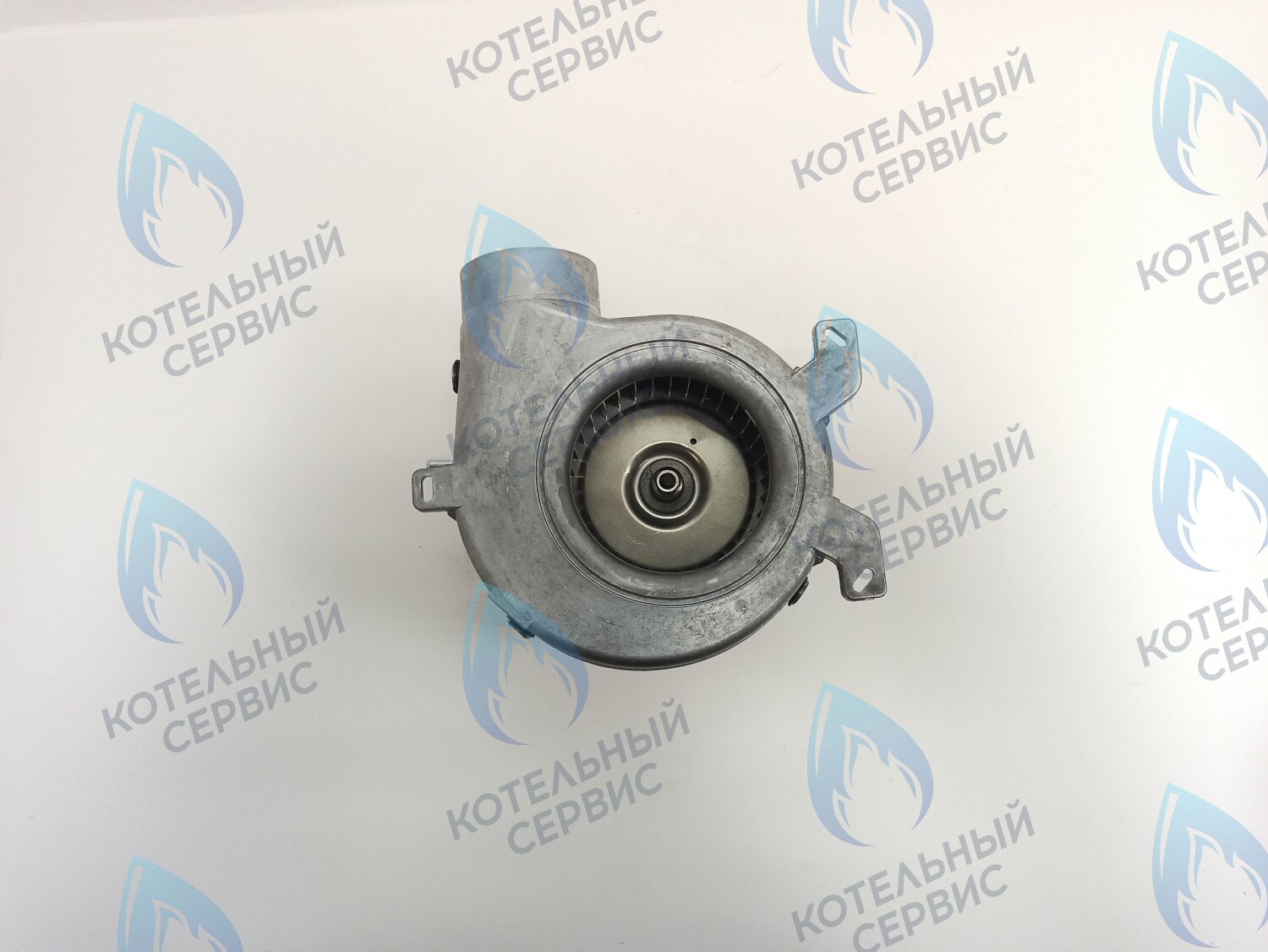 AF001-38W-P-F Вентилятор дымоудаления FIME IMMERGAS MINI 24 - 39W GR03510 (1.021174), ALPHATHERM (6VENTILA13, 6VENTILA07), IMMERGAS (1.025794, 1.044632), FONDITAL (6VENTILA13, 6VENTILA19), BAXI (63111300821P), FEDERICA BUGATTI VARME (BF001B) в Москве